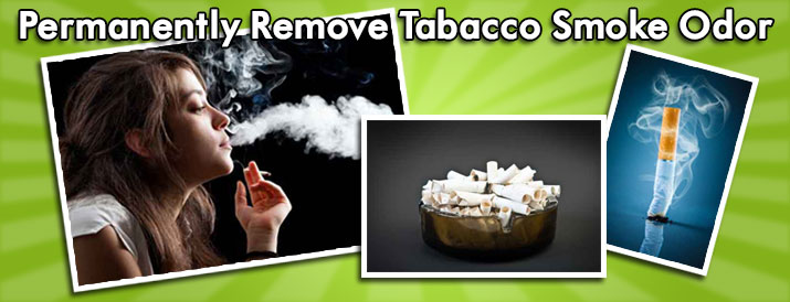 Tobacco-Smoke Odor